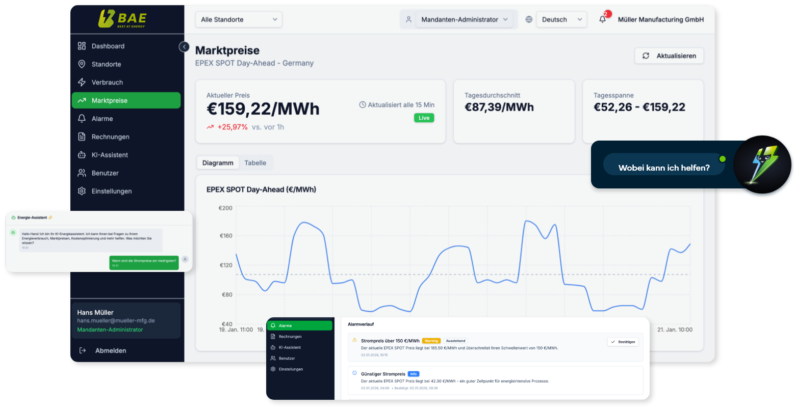 Screenshot von der BAE Software